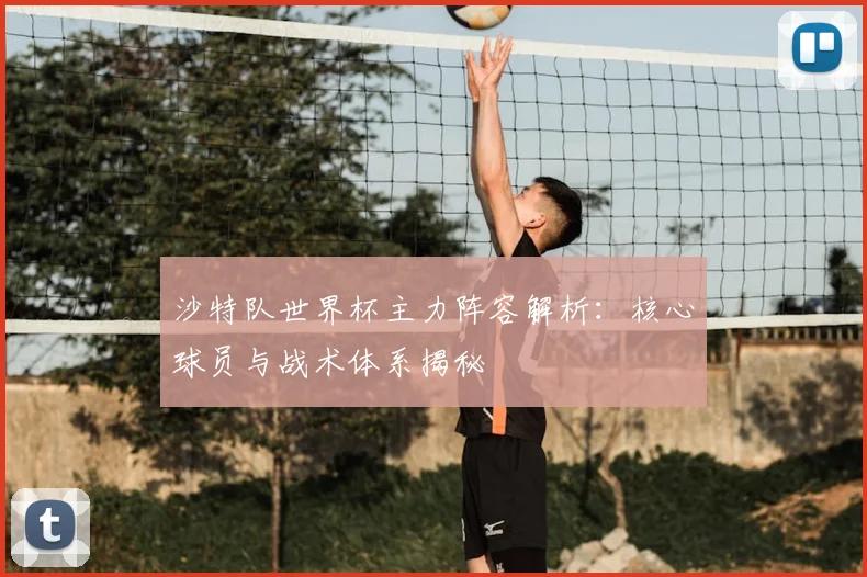 沙特队世界杯主力阵容解析：核心球员与战术体系揭秘
