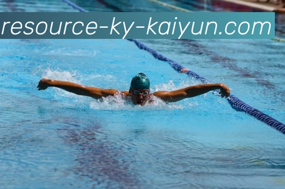 开云app平台生态图