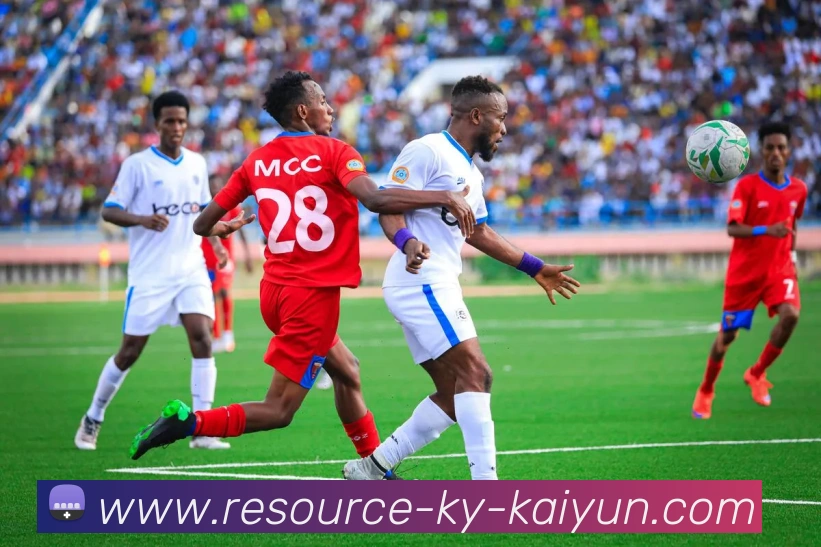 App Interface Preview