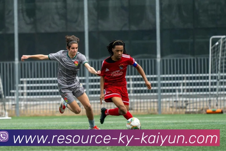 开云appAPP 封面图